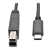 USB 3.1 Gen 2 (10 Gbps) Cable, USB Type-C (USB-C) to USB 3.0 Type-B (M/M), 3 ft.