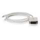 3ft Mini DisplayPort Male to Single Link DVI-D Male Adapter Cable, White