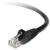 Belkin Cat5e Patch Cable