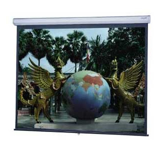 Da-Lite Model C Manual Projection Screen