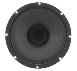 Atlas Sound C10A 25 W RMS Speaker