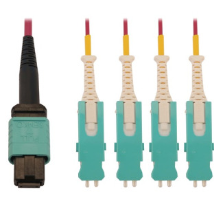 Tripp Lite 40/100/400G Multimode 50/125 OM4 Breakout Fiber Optic Cable (12F MTP/MPO-PC to 4x Duplex SN-PC F/M), LSZH, Magenta, 3 m (9.8 ft.)