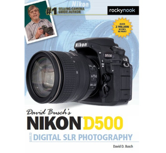 David Buschs Nikon D500 Guide to Digital SLR Photography